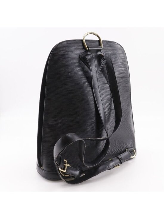 Louis Vuitton Gobelins Epi Leather Noir Black Backpack Day main image 6